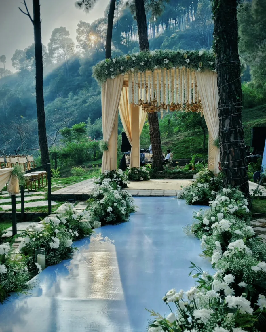 Floral-lined aisle leading to a draped mandap through a pine forest at golden hour